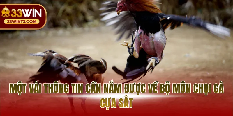 Cược Đá Gà Cựa Sắt - Chiến Thuật Chốt Kèo Đỉnh Cao 2026 2 Một vài thông tin cần nắm được về bộ môn chọi gà cựa sắt